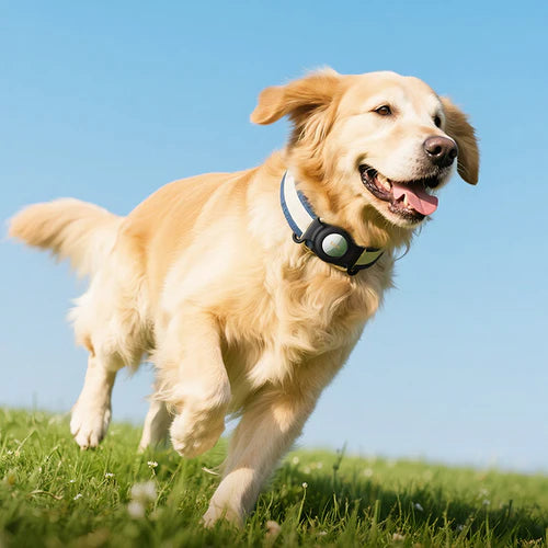 Smart Wireless Pet Tracker Tag with 9-12 Months Battery Life, Comfortable Collar (E91C)