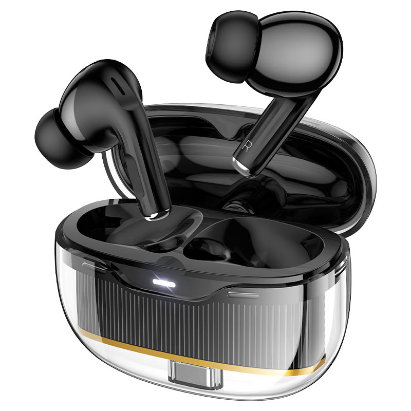 Hoco TWS Bluetooth Earbuds With Clear Body (EW54) - Black